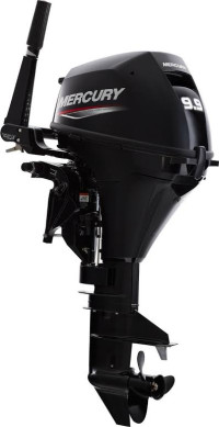 Mercury 9.9 EFI Electric start tiller handle